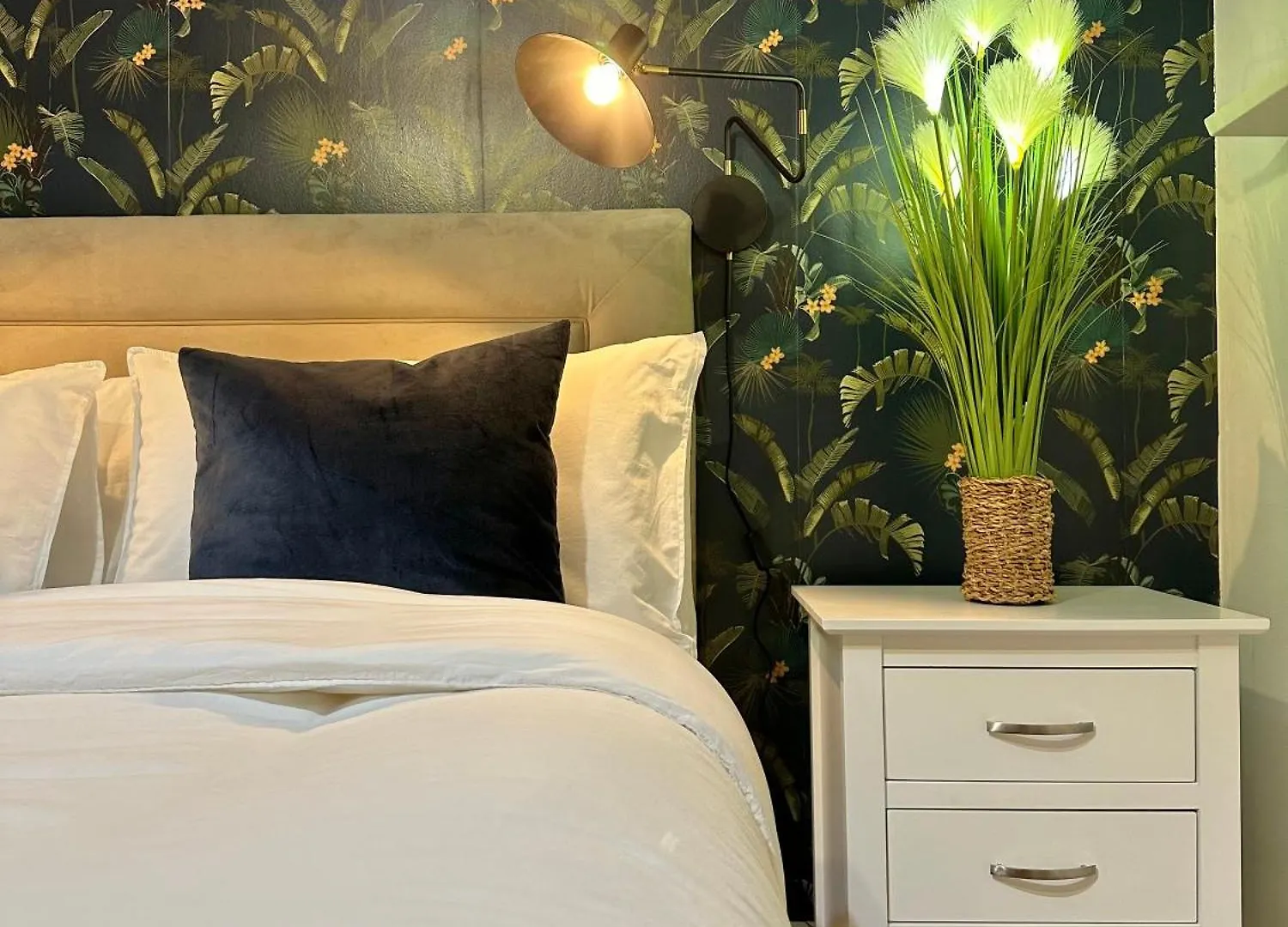 Blush Jungle - Homestay Dublin 0*,